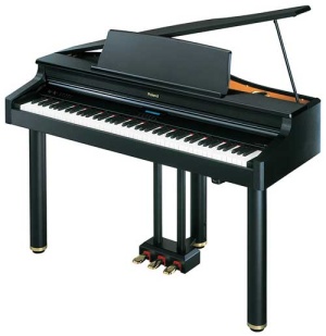 Roland Rg1