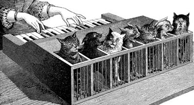 piano con gatos